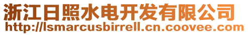 浙江日照水電開發(fā)有限公司