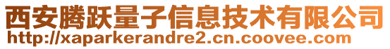 西安騰躍量子信息技術(shù)有限公司