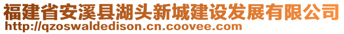 福建省安溪縣湖頭新城建設發展有限公司