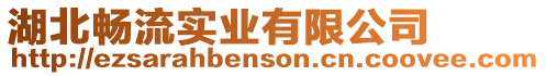 湖北暢流實(shí)業(yè)有限公司