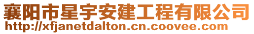 襄陽市星宇安建工程有限公司