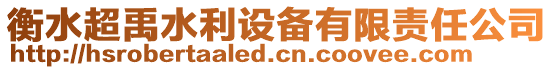 衡水超禹水利設備有限責任公司
