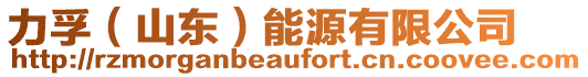 力孚(山東)能源有限公司