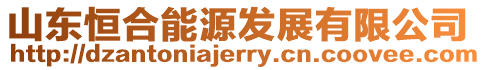 山東恒合能源發展有限公司