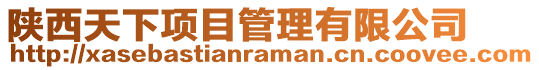 陜西天下項目管理有限公司
