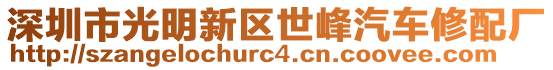 深圳市光明新區(qū)世峰汽車修配廠