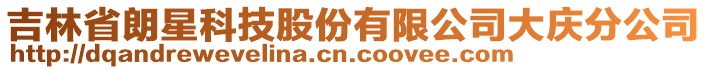 吉林省朗星科技股份有限公司大慶分公司