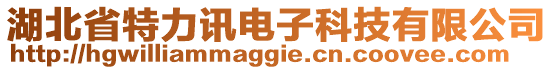 湖北省特力訊電子科技有限公司