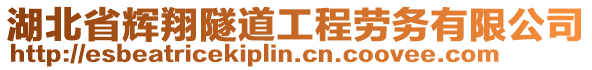 湖北省輝翔隧道工程勞務(wù)有限公司