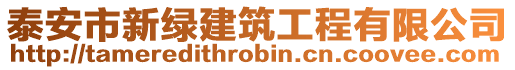 泰安市新綠建筑工程有限公司