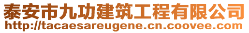 泰安市九功建筑工程有限公司