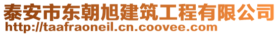 泰安市東朝旭建筑工程有限公司