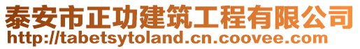 泰安市正功建筑工程有限公司