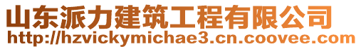 山東派力建筑工程有限公司