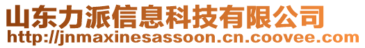 山東力派信息科技有限公司