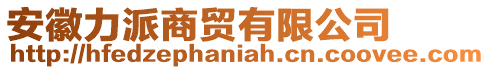 安徽力派商貿(mào)有限公司