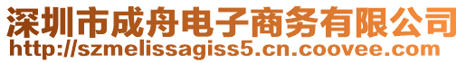 深圳市成舟電子商務(wù)有限公司