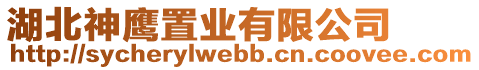 湖北神鷹置業(yè)有限公司