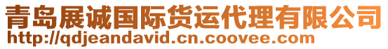 青島展誠國際貨運(yùn)代理有限公司