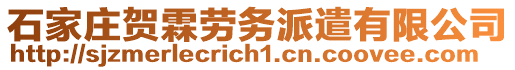 石家庄贺霖劳务派遣有限公司