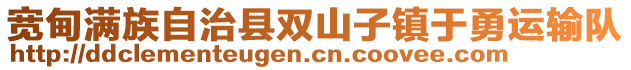 寬甸滿族自治縣雙山子鎮(zhèn)于勇運(yùn)輸隊(duì)