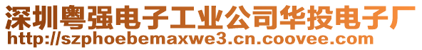 深圳粵強(qiáng)電子工業(yè)公司華投電子廠