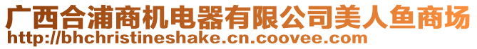 廣西合浦商機電器有限公司美人魚商場