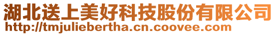 湖北送上美好科技股份有限公司