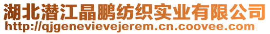 湖北潛江晶鵬紡織實(shí)業(yè)有限公司