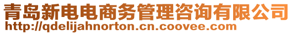 青島新電電商務(wù)管理咨詢有限公司