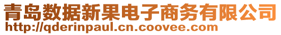青島數(shù)據(jù)新果電子商務(wù)有限公司