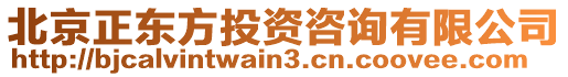 北京正東方投資咨詢有限公司