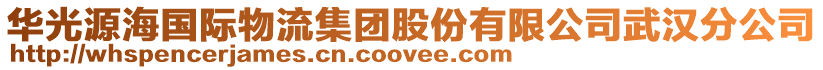 華光源海國際物流集團股份有限公司武漢分公司