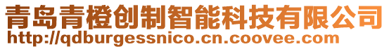 青島青橙創制智能科技有限公司