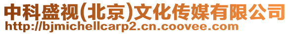 中科盛視(北京)文化傳媒有限公司