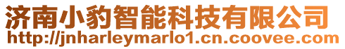 濟(jì)南小豹智能科技有限公司