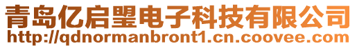 青島億啟琞電子科技有限公司