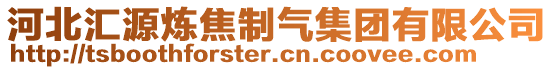 河北匯源煉焦制氣集團有限公司