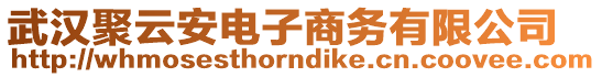 武漢聚云安電子商務(wù)有限公司