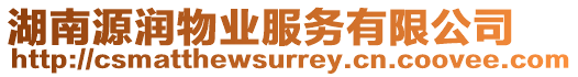 湖南源潤物業(yè)服務(wù)有限公司