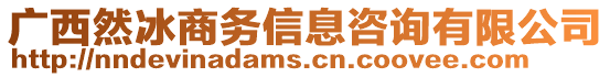 廣西然冰商務信息咨詢有限公司