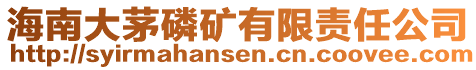 海南大茅磷礦有限責(zé)任公司