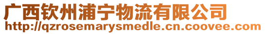 廣西欽州浦寧物流有限公司