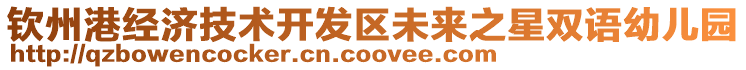 欽州港經(jīng)濟(jì)技術(shù)開(kāi)發(fā)區(qū)未來(lái)之星雙語(yǔ)幼兒園