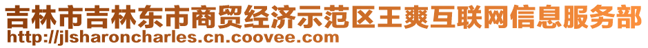 吉林市吉林東市商貿經濟示范區王爽互聯網信息服務部