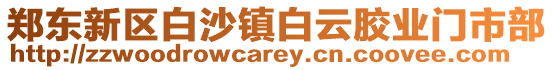 鄭東新區(qū)白沙鎮(zhèn)白云膠業(yè)門市部