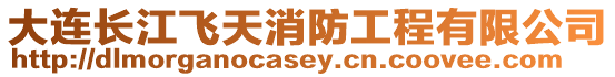 大連長江飛天消防工程有限公司