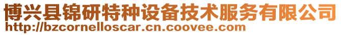 博興縣錦研特種設(shè)備技術(shù)服務(wù)有限公司