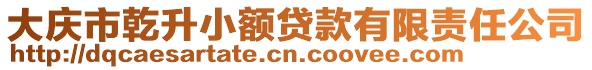 大慶市乾升小額貸款有限責任公司