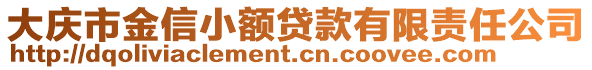 大慶市金信小額貸款有限責任公司